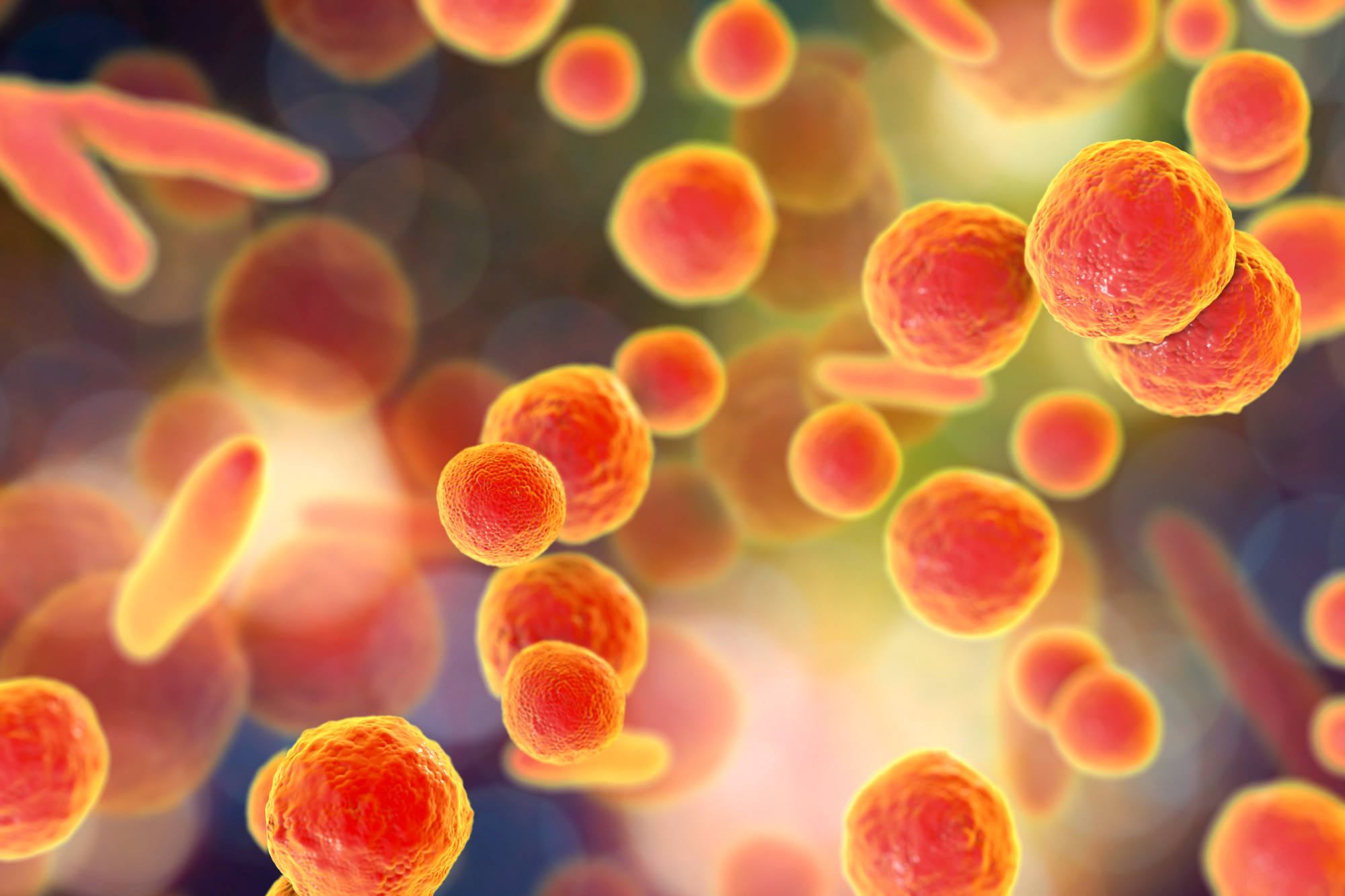 New EP 2.6.7 Regulation: What Changes in Mycoplasma Detection and How to Stay Compliant? - Sartorius Croatia