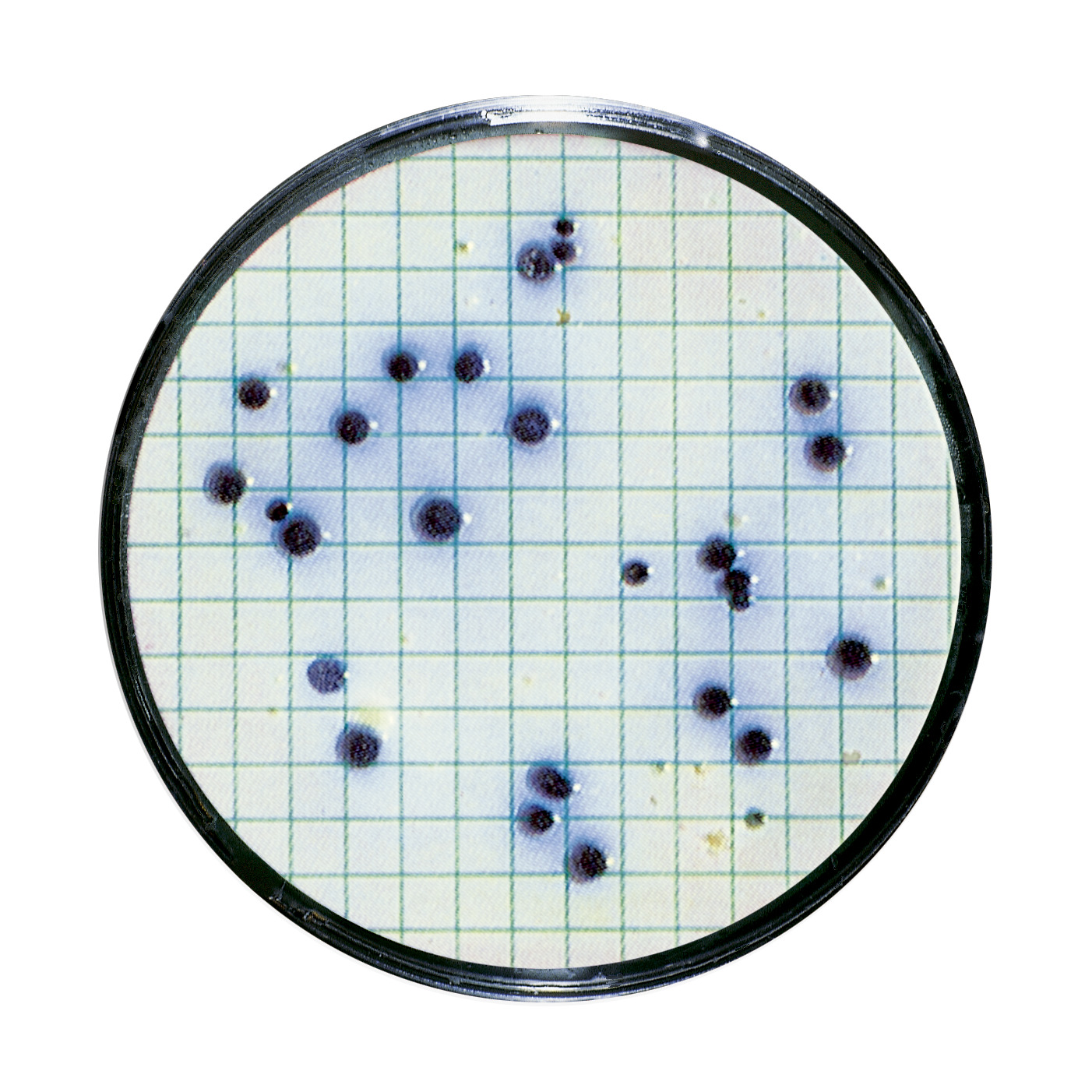Water Testing and Spoilage Detection | Soft Drinks - Sartorius Croatia