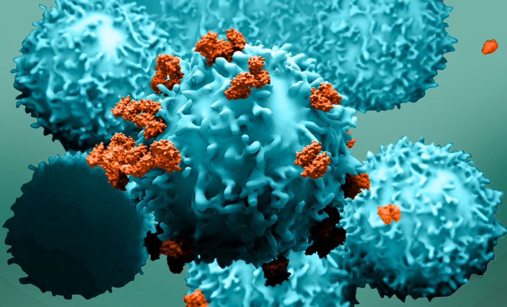 iQue® Virtual Training: Optimizing Sample Preparation for Complex Protocols and Cell Type - Sartorius Croatia