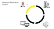 BioPAT® DCU - Sartorius Croatia